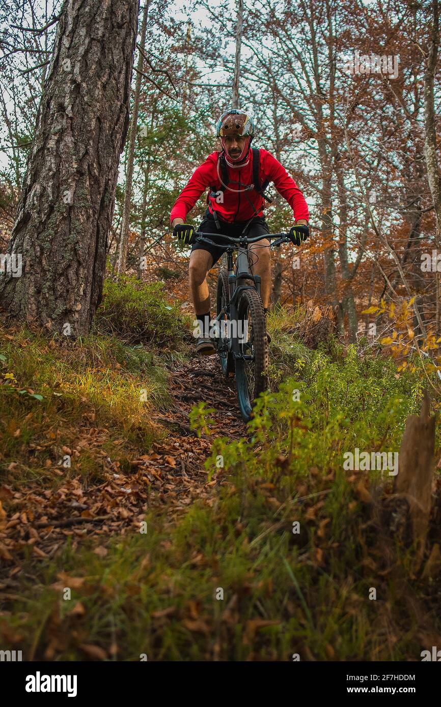 Mountain biker riding easy downhill in autumn setting on a picturesque  green singletrack trail. Frontal view Stock Photo - Alamy