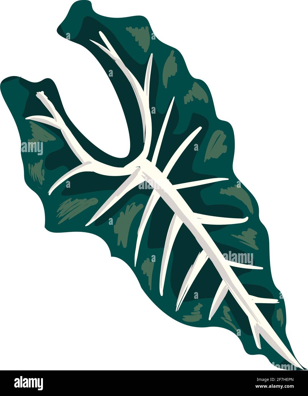 tropical leaf on white background Stock Vector Image & Art - Alamy