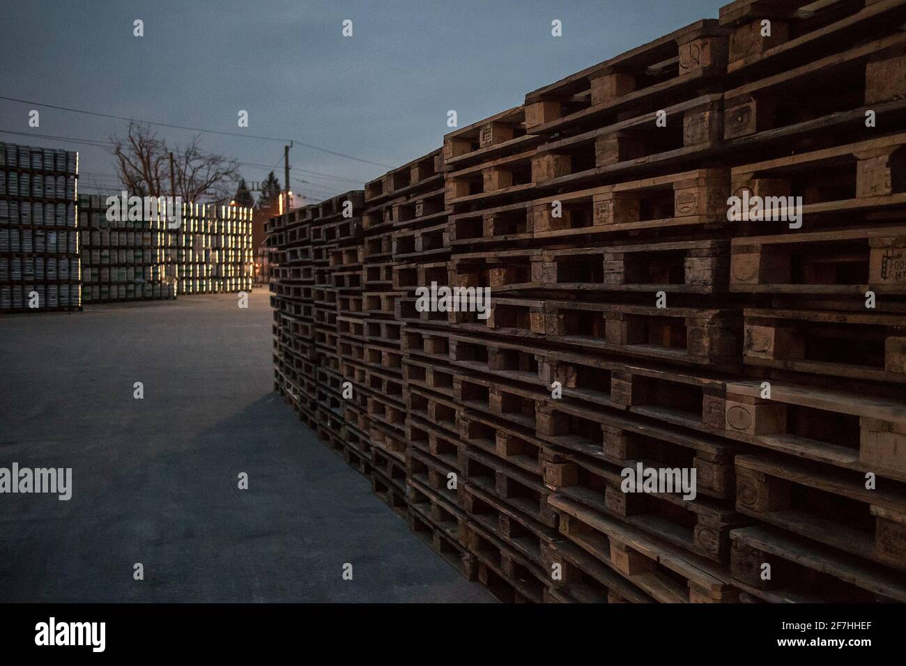 A row or stack of wooden euro palettes in early foggy morning. Used euro palettes waiting in an open space warehouse during early morning hours. Stock Photo