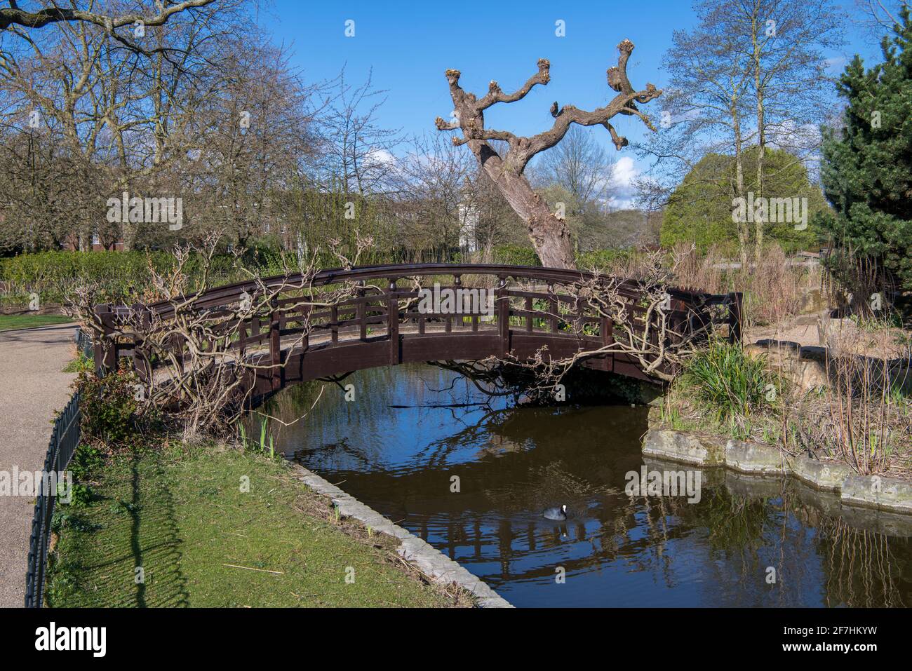 Wooden bridge Japanese Island Queen Mary's Gardens Regents Park London Stock Photo