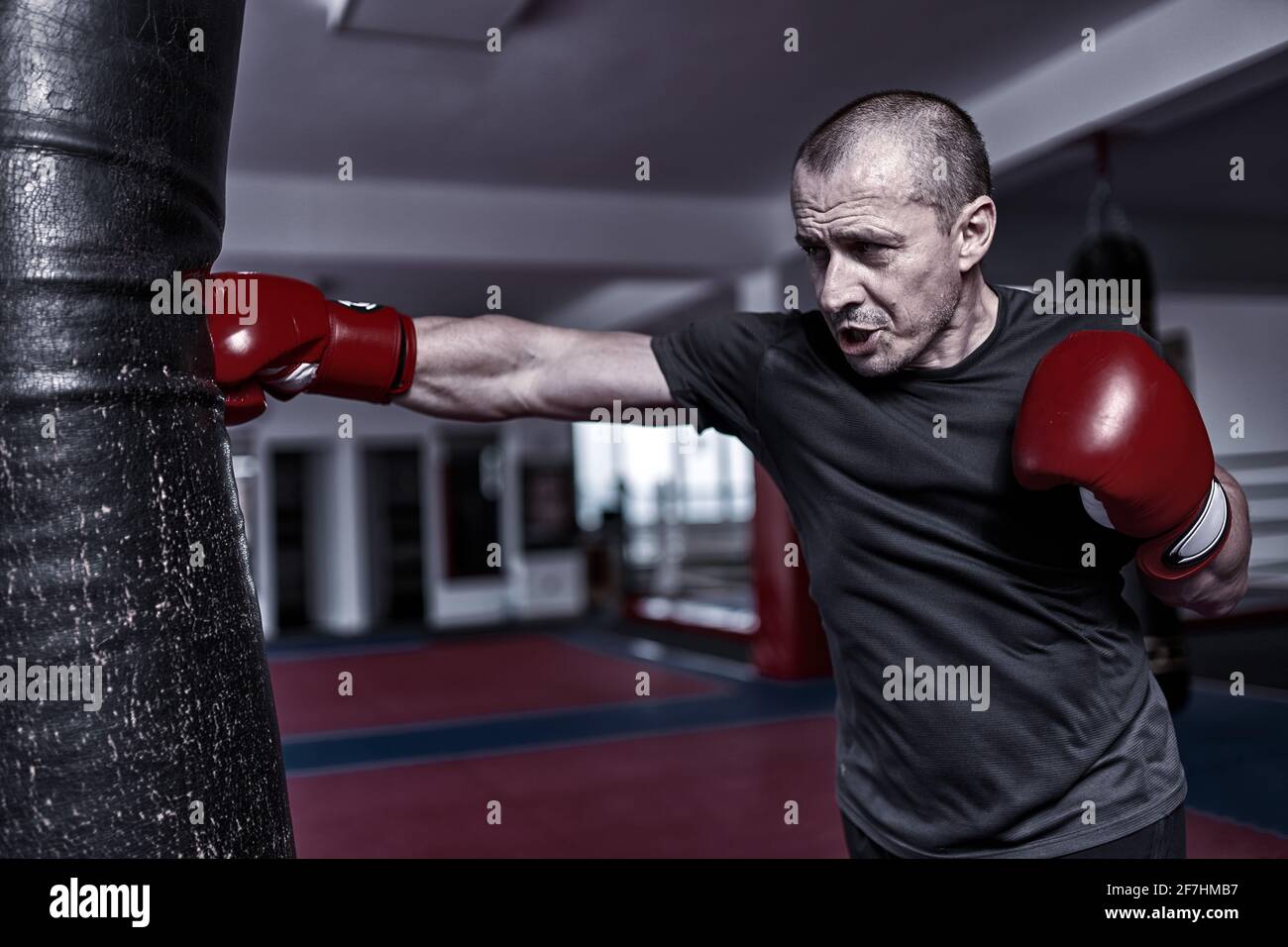 Boxer training with the heavy bag Stock Photo - Alamy