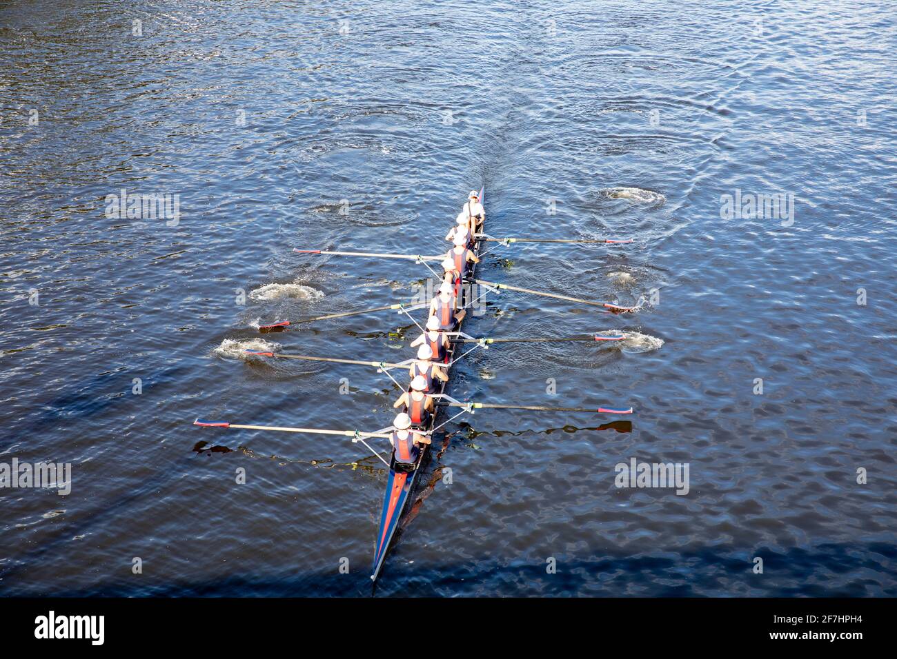 Yarra River Melbourne mens rowing team training and rowing along the