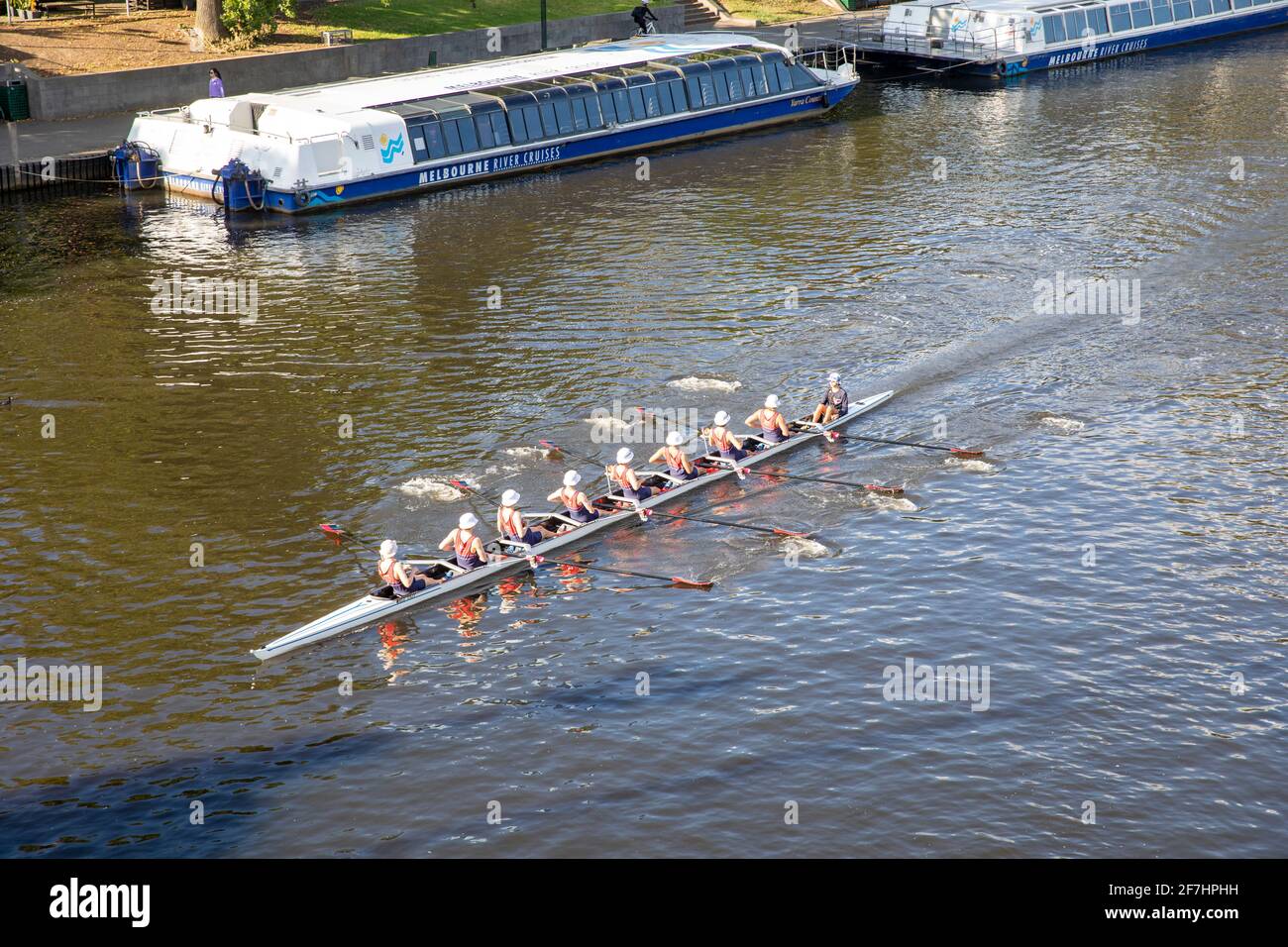 Yarra River Melbourne mens rowing team training and rowing along the