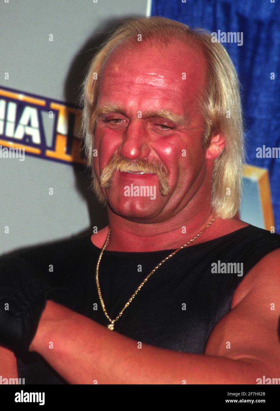 Hulk Hogan 1986 Photo By John Barrett/PHOTOlink Stock Photo - Alamy
