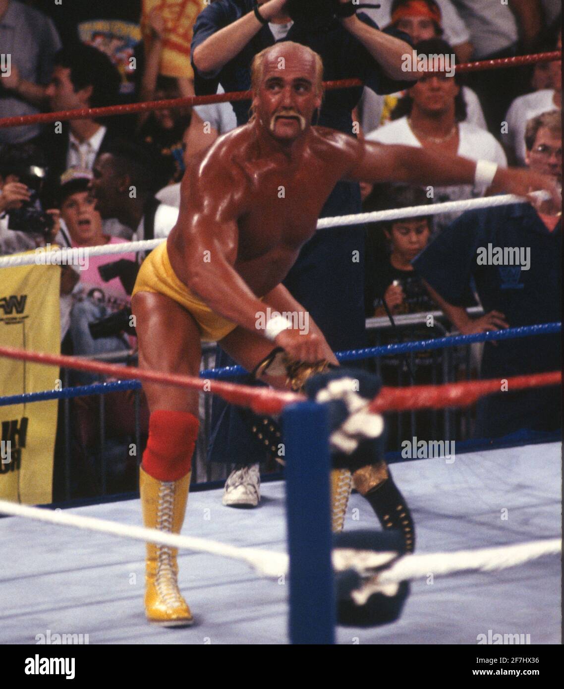 Hulk Hogan 1988 Photo By John Barrett/PHOTOlink Stock Photo - Alamy