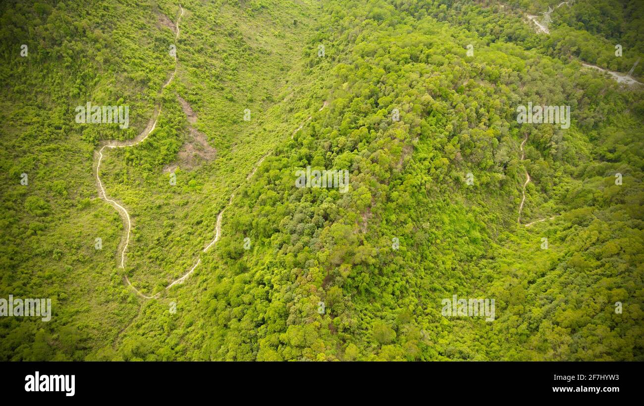 ShiTouShan, aka the Lion Head Mountain in Zhongshan, Guangdong, China, with a small and curved road crossing between green trees. Stock Photo