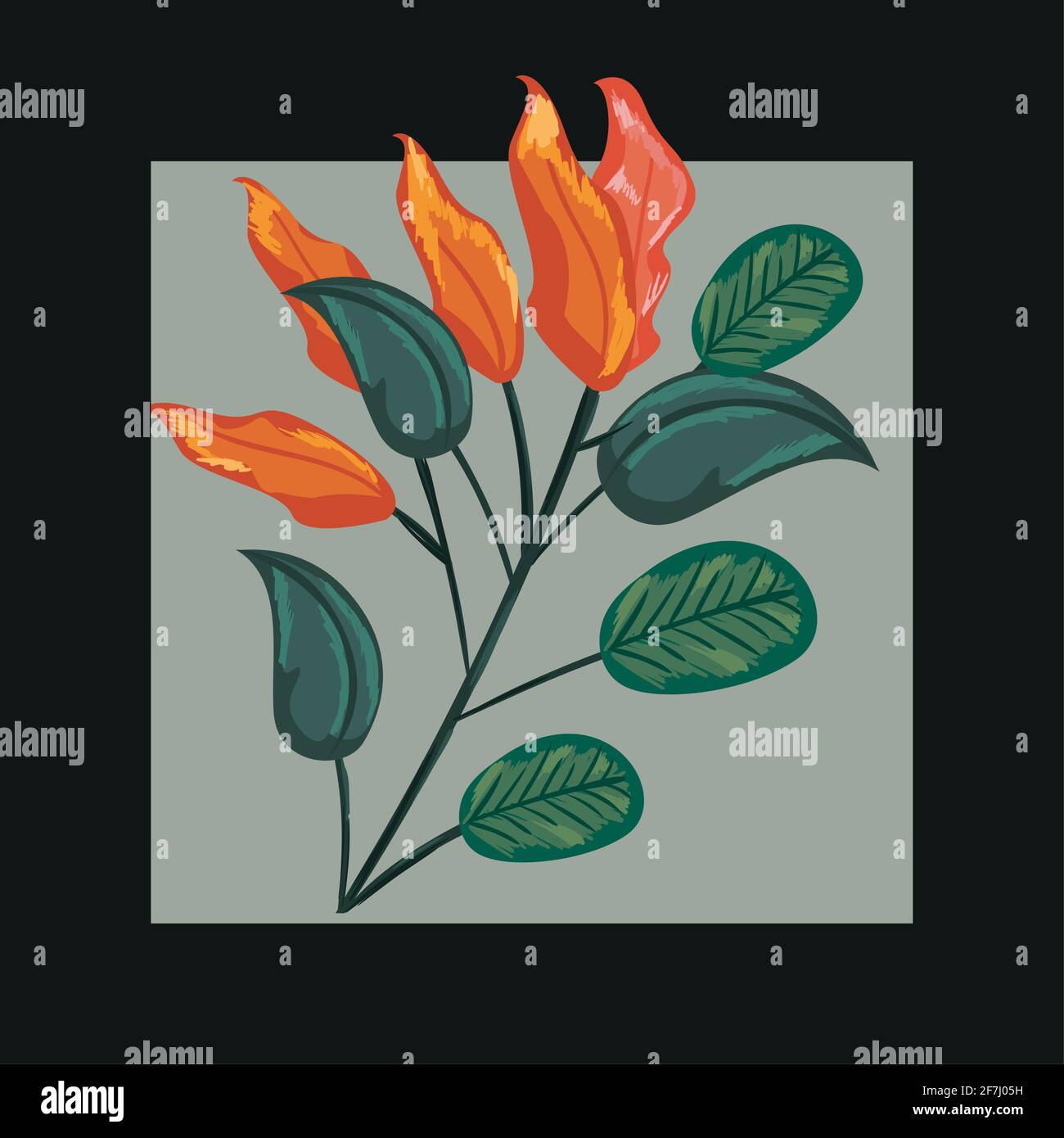 tropical and plant leaves frame Stock Vector Image & Art - Alamy