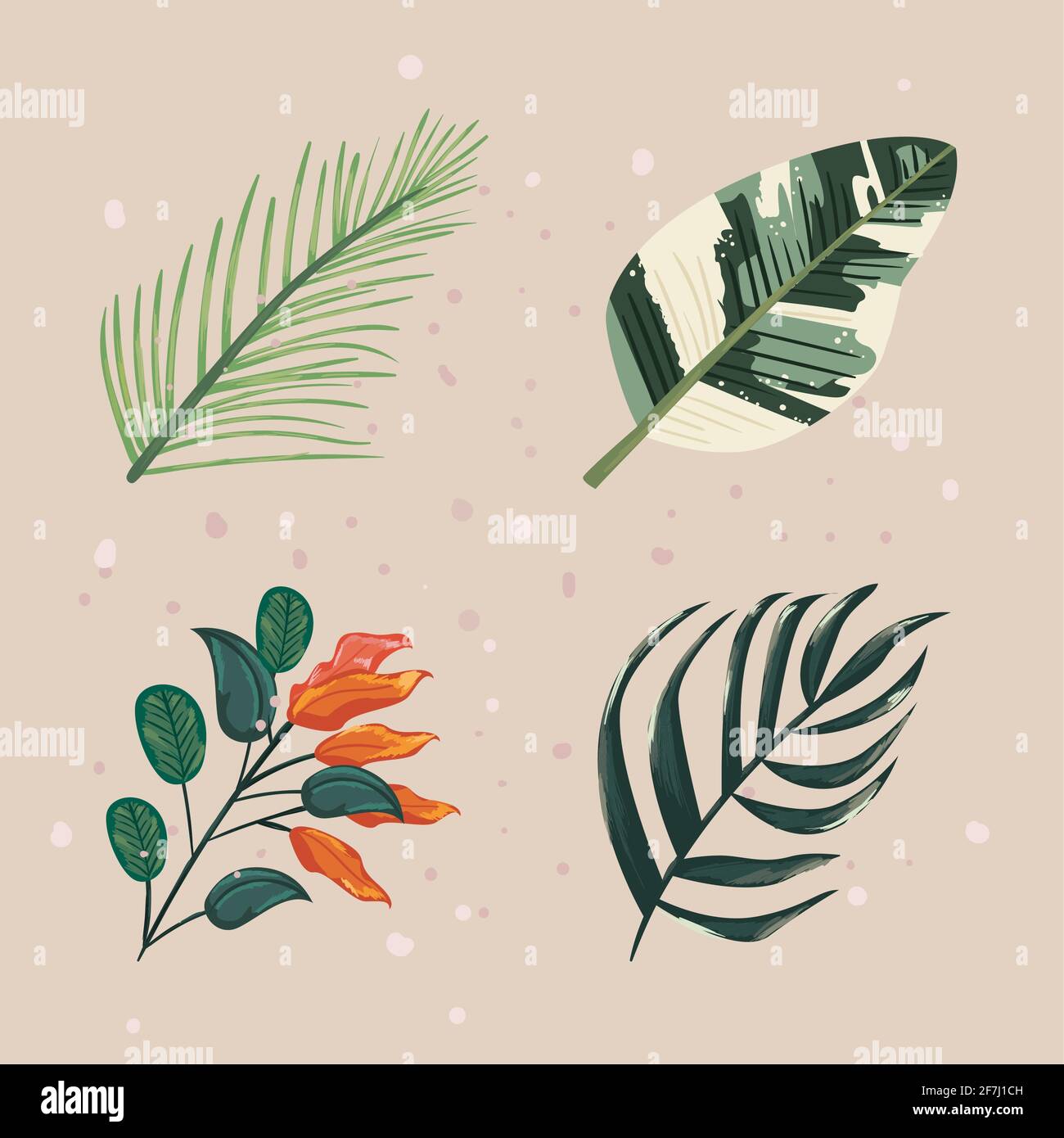 natural plant leaves icon collection Stock Vector Image & Art - Alamy