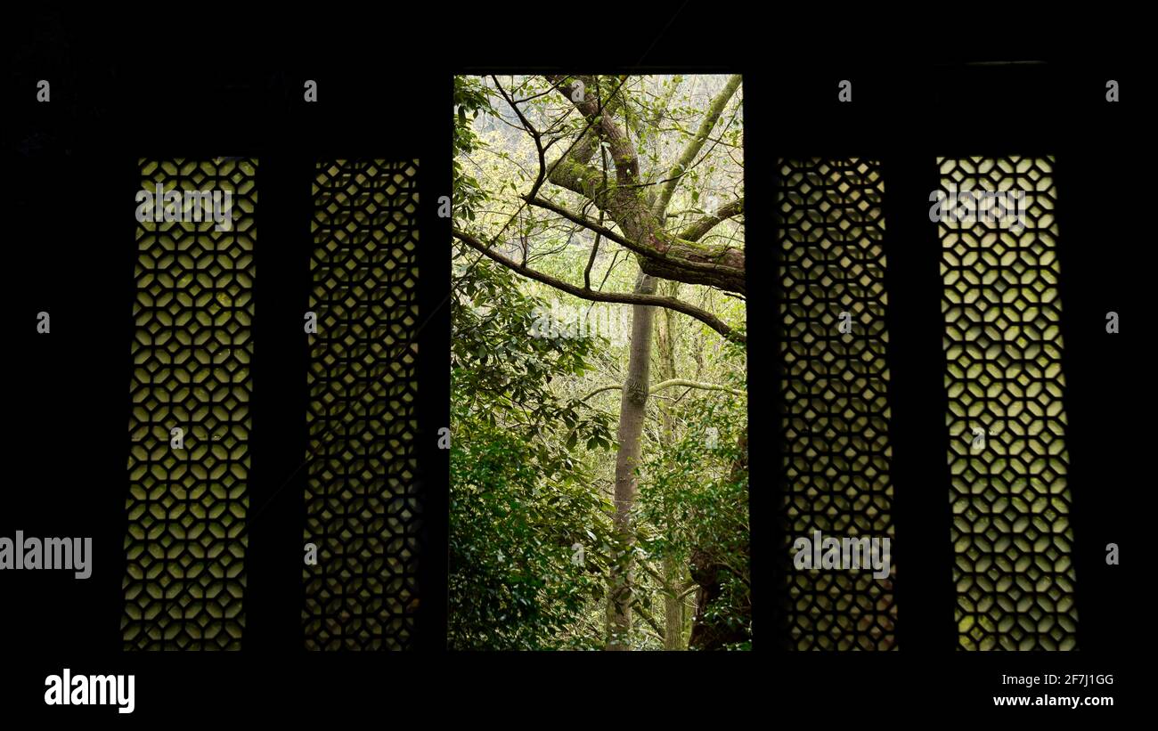 Huge old Chinese style door and window with green trees outside in Lingyin Temple locates in Hangzhou, Zhejiang, China. Stock Photo
