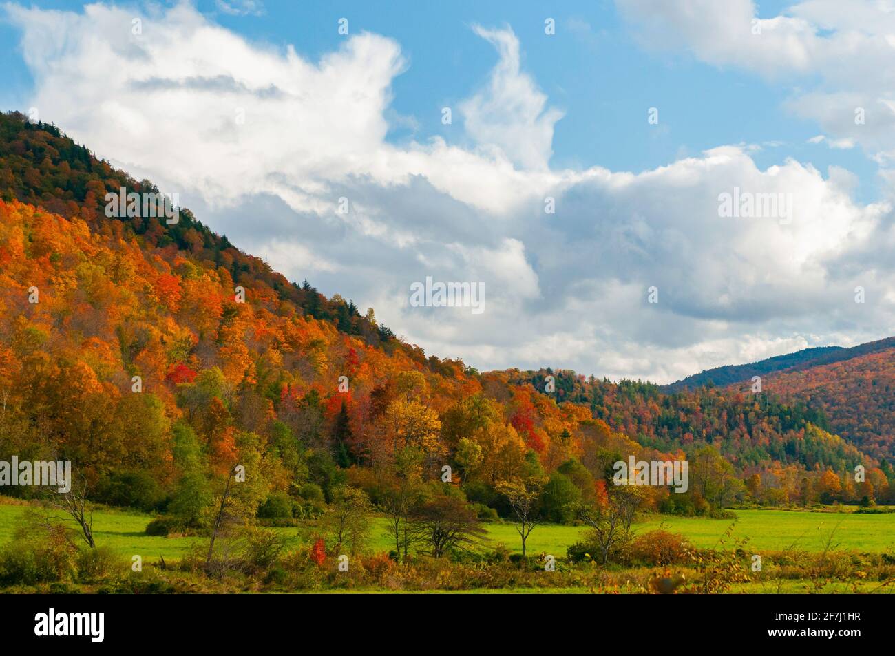 Brilliant autumn color in the Green Mountains of the Adirondack mountain chain, Vermont, USA. Stock Photo