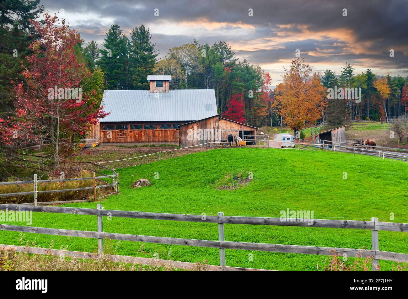 Horse farm with wooden barns, paddocks, horses and wood fences in the