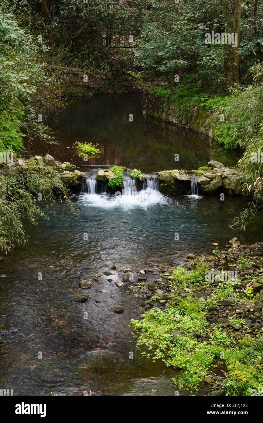 A small river crossing through woods in Linyin Temple of Hangzhou, Zhejiang, China, with tinal waterfall & lots of green plants. Stock Photo