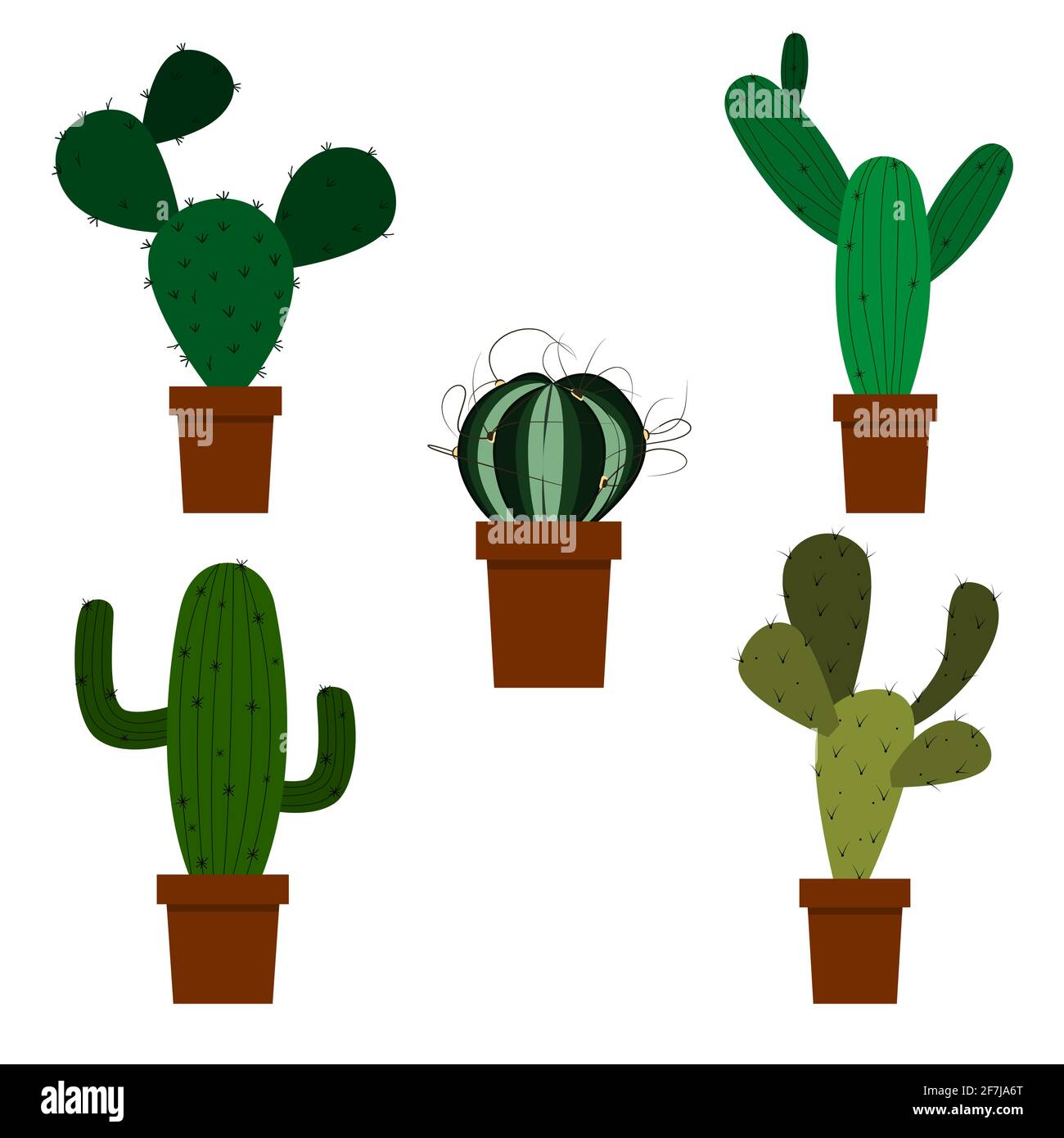 A set of cacti, green cacti in a pot. Vector isolated on a white ...