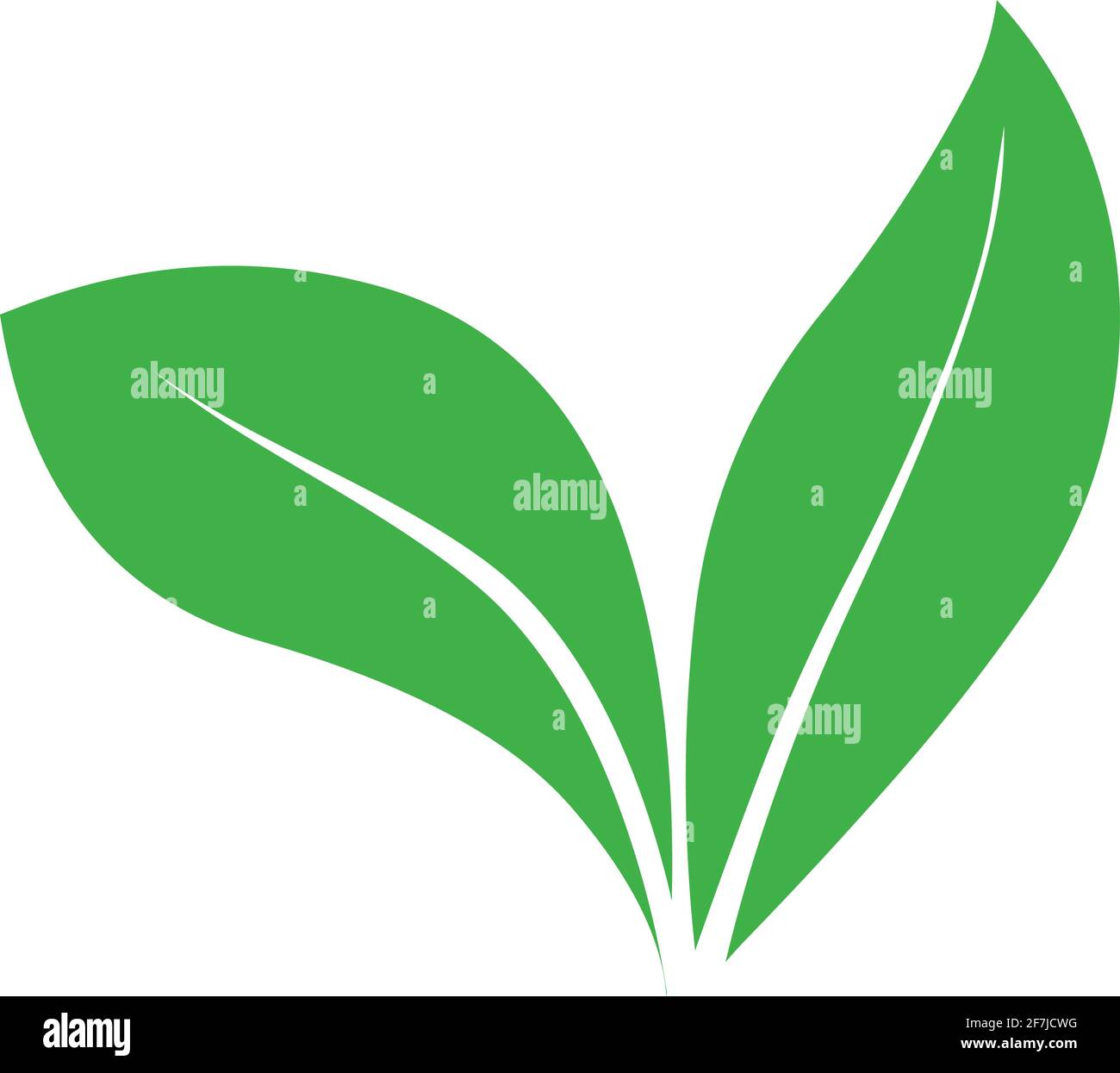 Green leaf illustration Herbal natural logo icon isolated on white ...