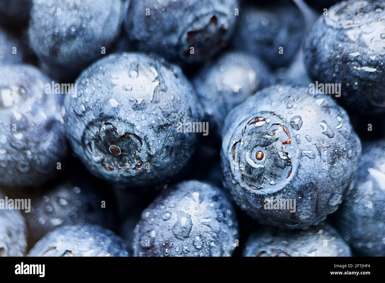 Fresh blueberries background top view.  Macro texture of blueberry berries with water drops. Summertime. Stock Photo