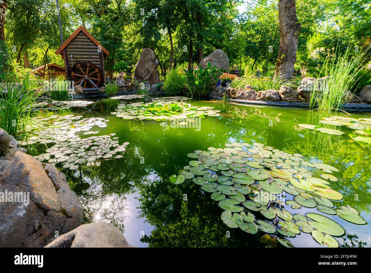 Aquatic Garden Decor: Transform Your Outdoor Space with Style