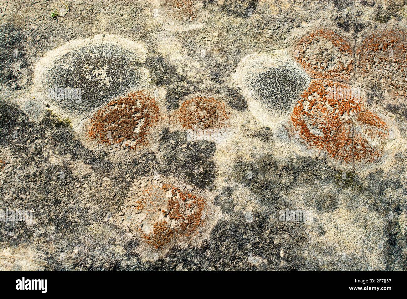 Estribela Rocks Rock formations of sandstone and other materials on the coast of the ...