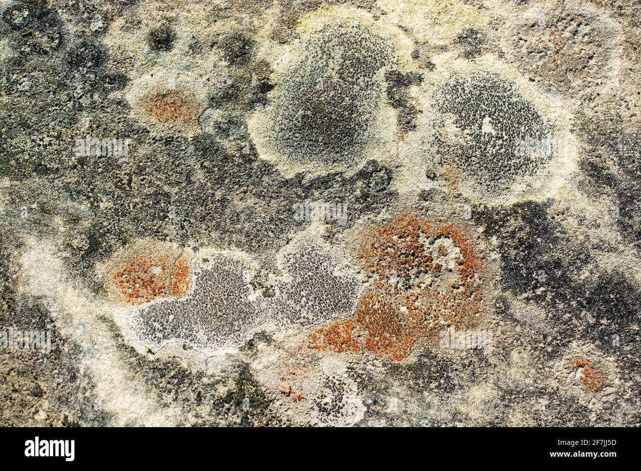 Estribela Rocks Rock formations of sandstone and other materials on the coast of the ...