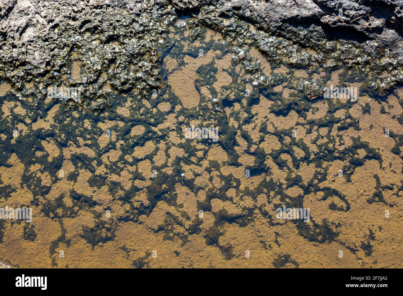 Estribela Rocks Rock formations of sandstone and other materials on the coast of the ...