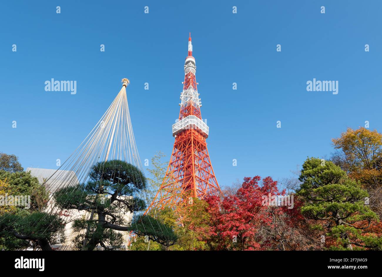 Low angle view of Tokyo Tower against the blue sky Stock Photo