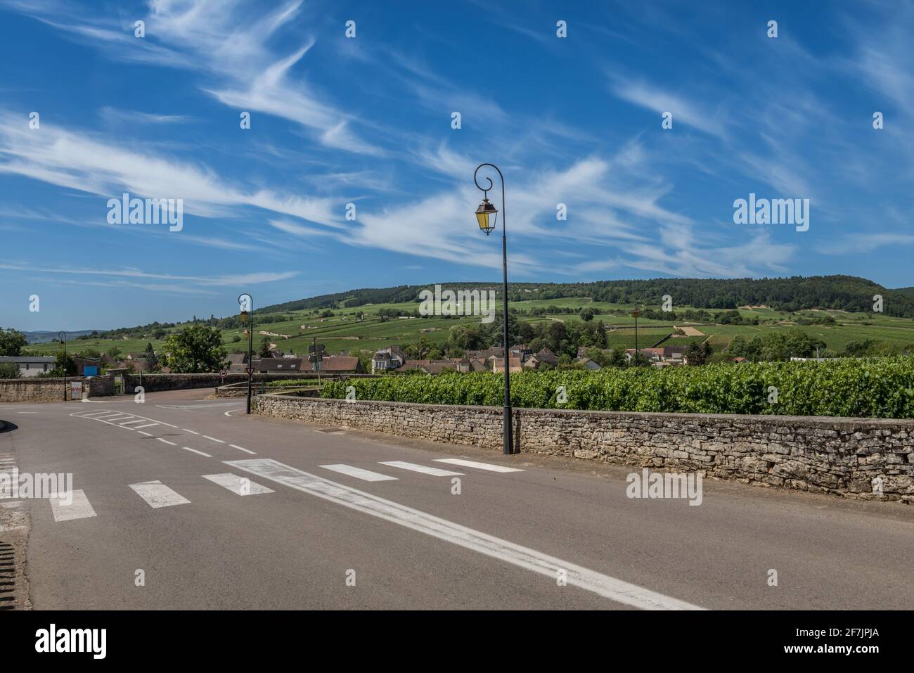 View to the road and vineyard in Burgundy Bourgogne home of pinot noir and chardonnay in summer day with blue sky. Cote d'Or Stock Photo
