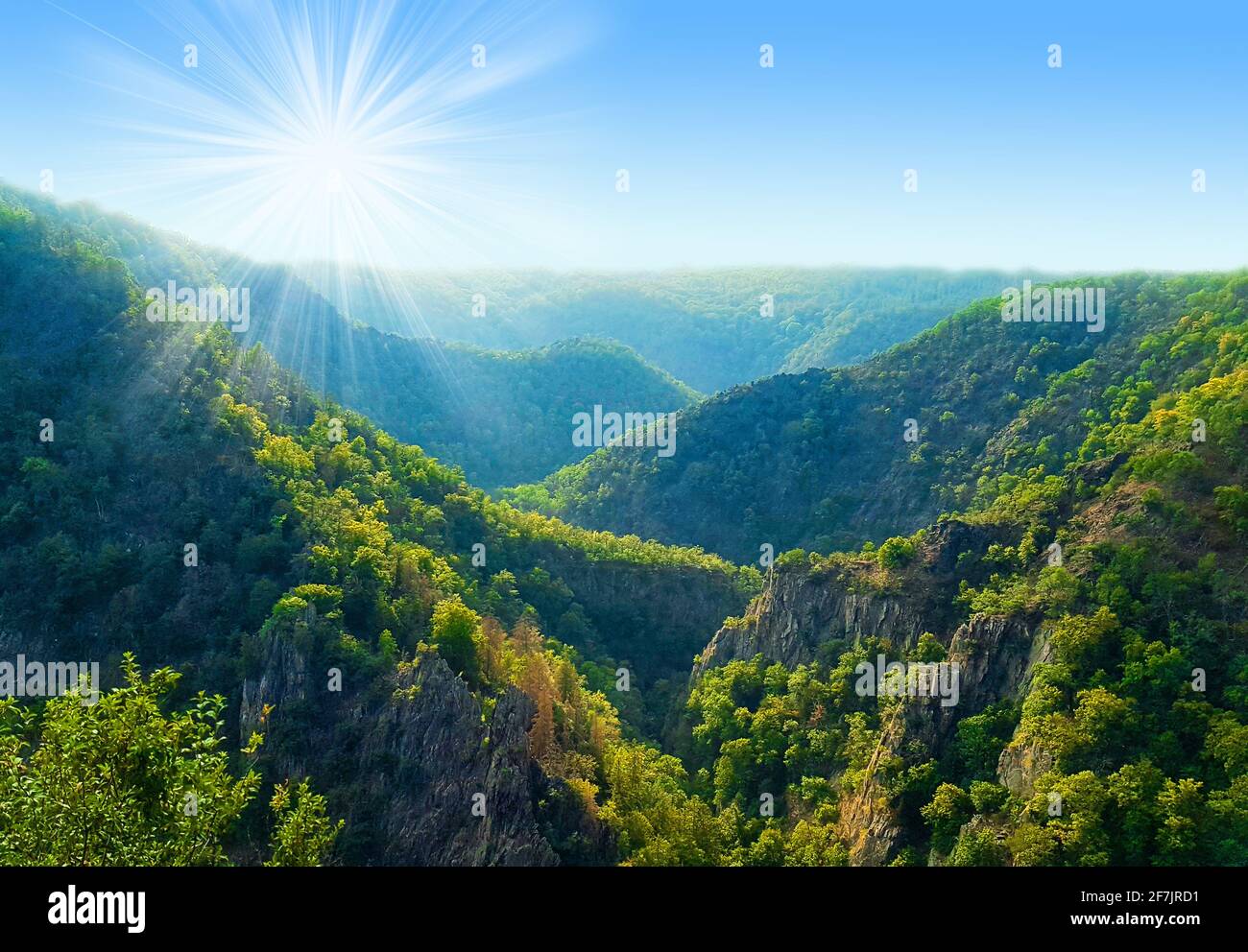 Harz National Park low mountain range vacation nature forest Bodetal incision sun forest wilderness beauty forest bathing nature eco environmental pro Stock Photo