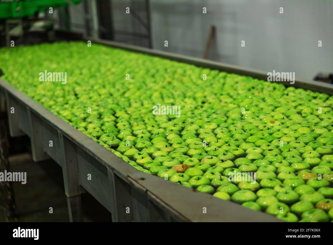 Quality control factory food selection hires stock photography and