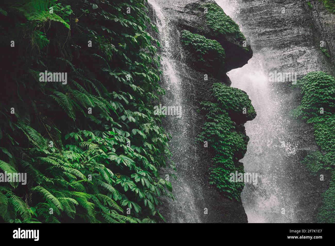 Sekumpul waterfall hi-res stock photography and images - Alamy