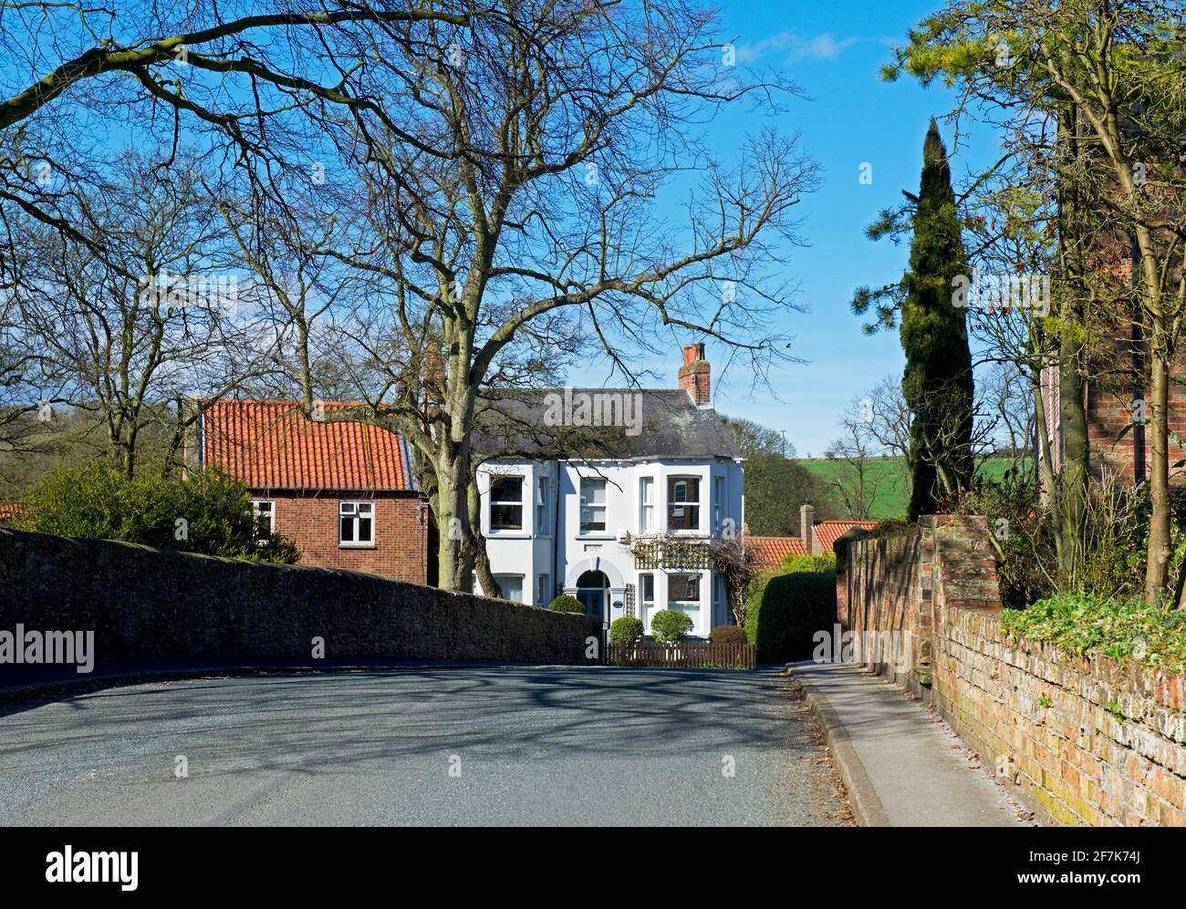 Houses in the village of North Newbald, East Yorkshire, England UK