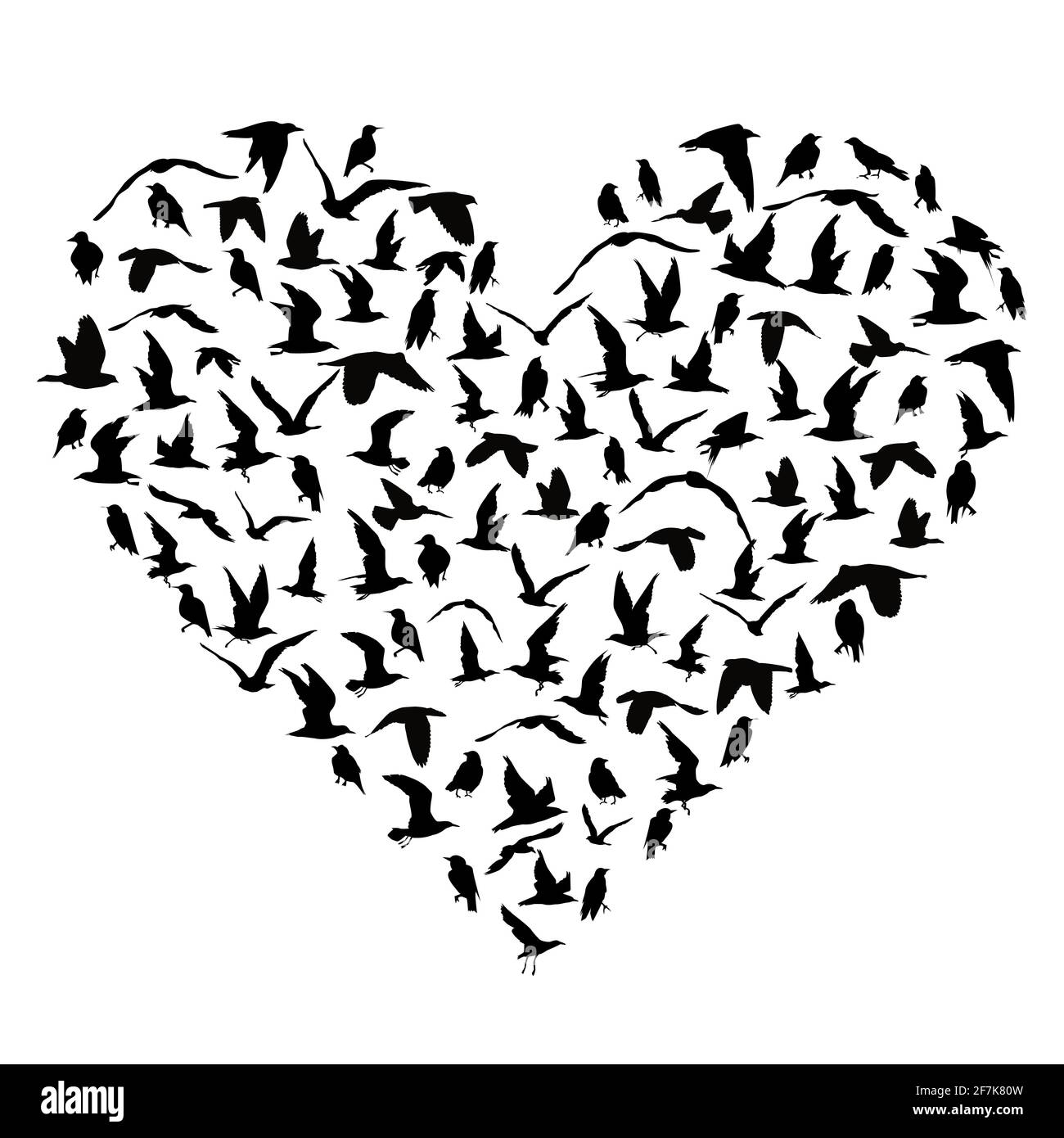 My Image 23
