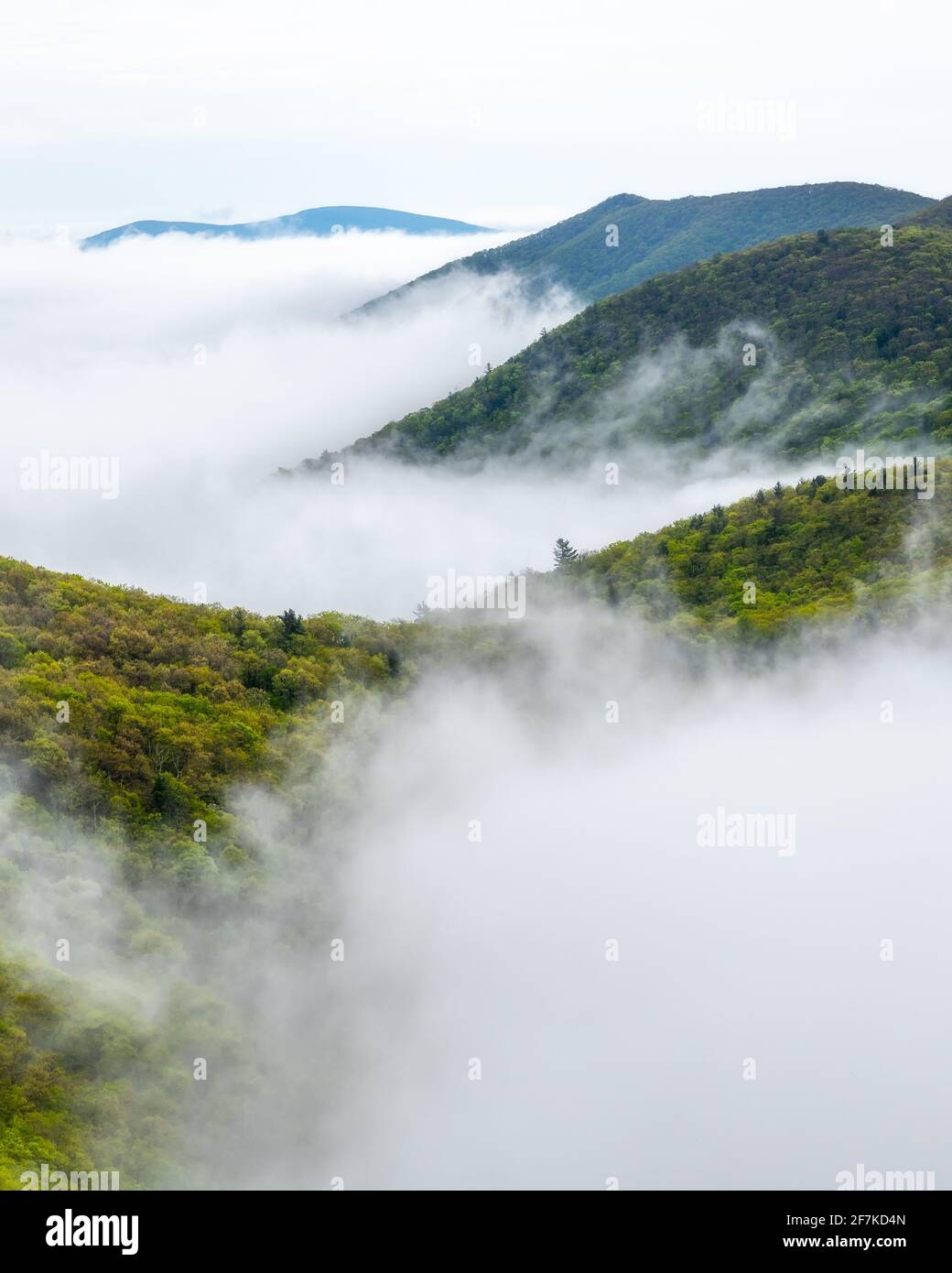 Layers of fog hi-res stock photography and images - Alamy