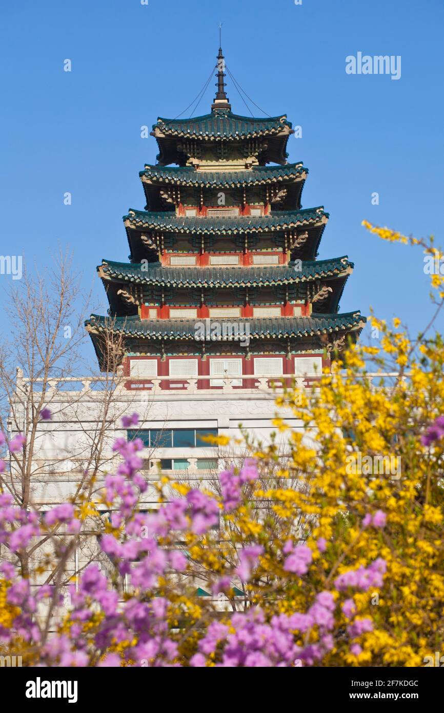 Korea, Seoul, Gyeongbokgung Palace, National Folk museum of Korea Stock Photo