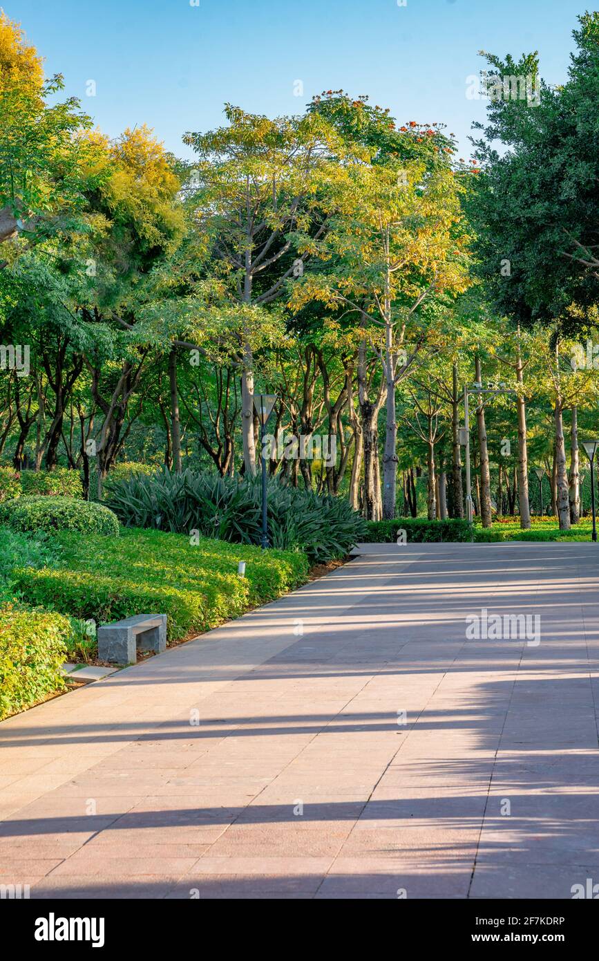 Inside view of a city park in Xiamen, China. Stock Photo