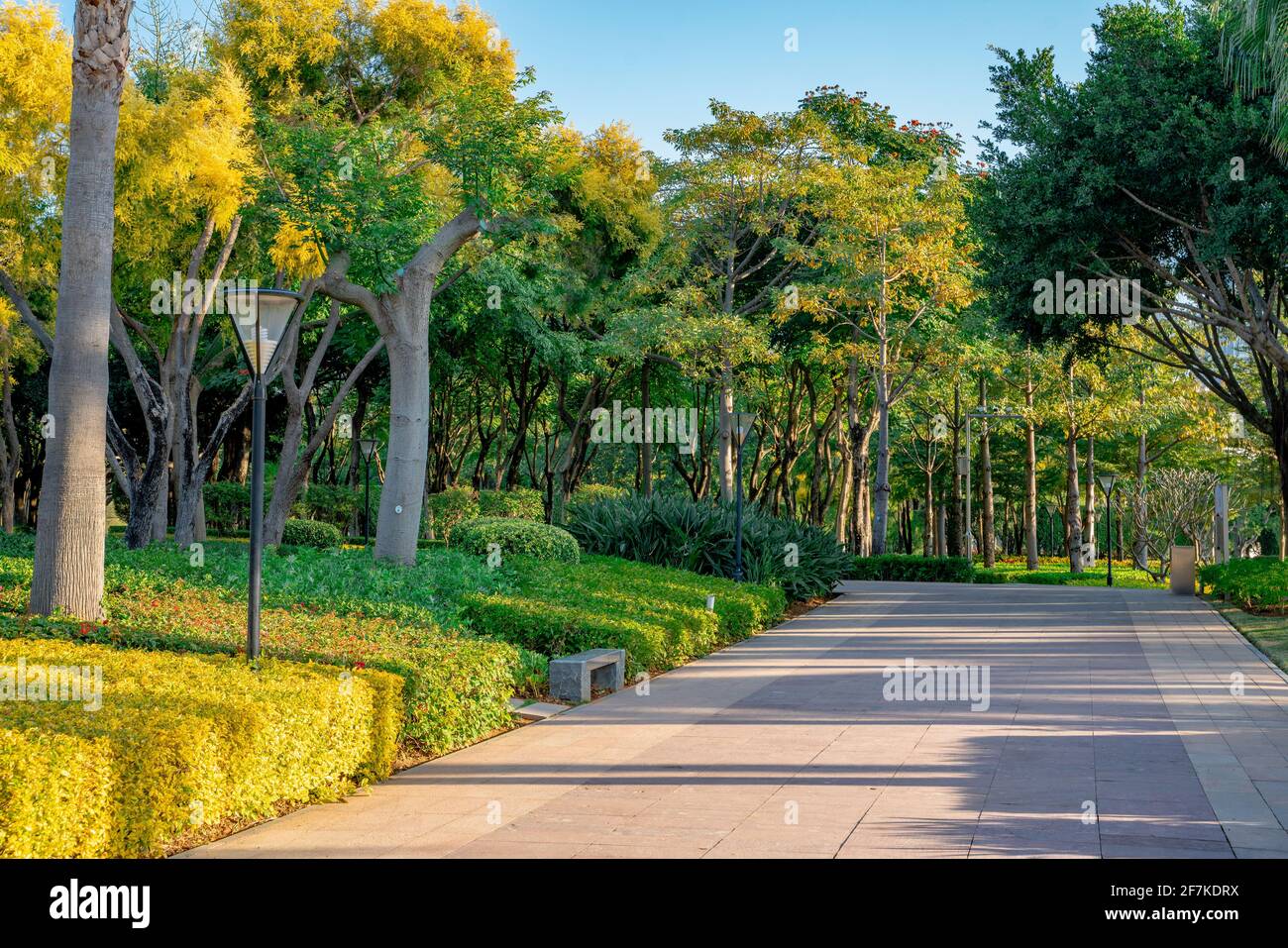Inside view of a city park in Xiamen, China. Stock Photo