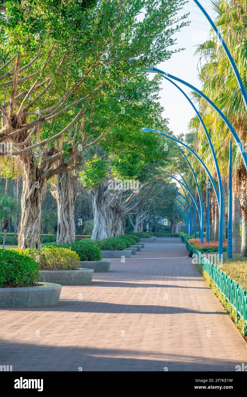 Inside view of a city park in Xiamen, China. Stock Photo