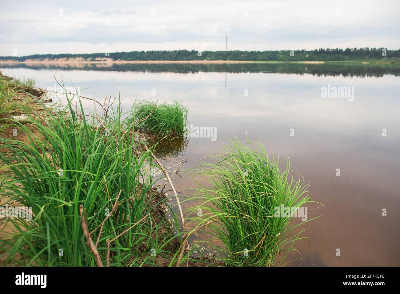 Beautiful Northern Dvina river in Arkhangelsk Oblast, Russia. Stock Photo