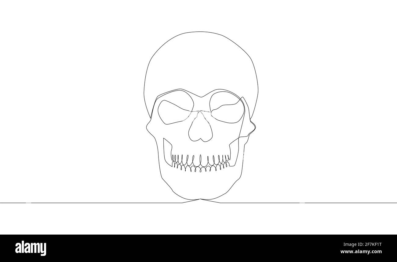Continuous one line drawing. Abstract human skull. illustration Stock Vector