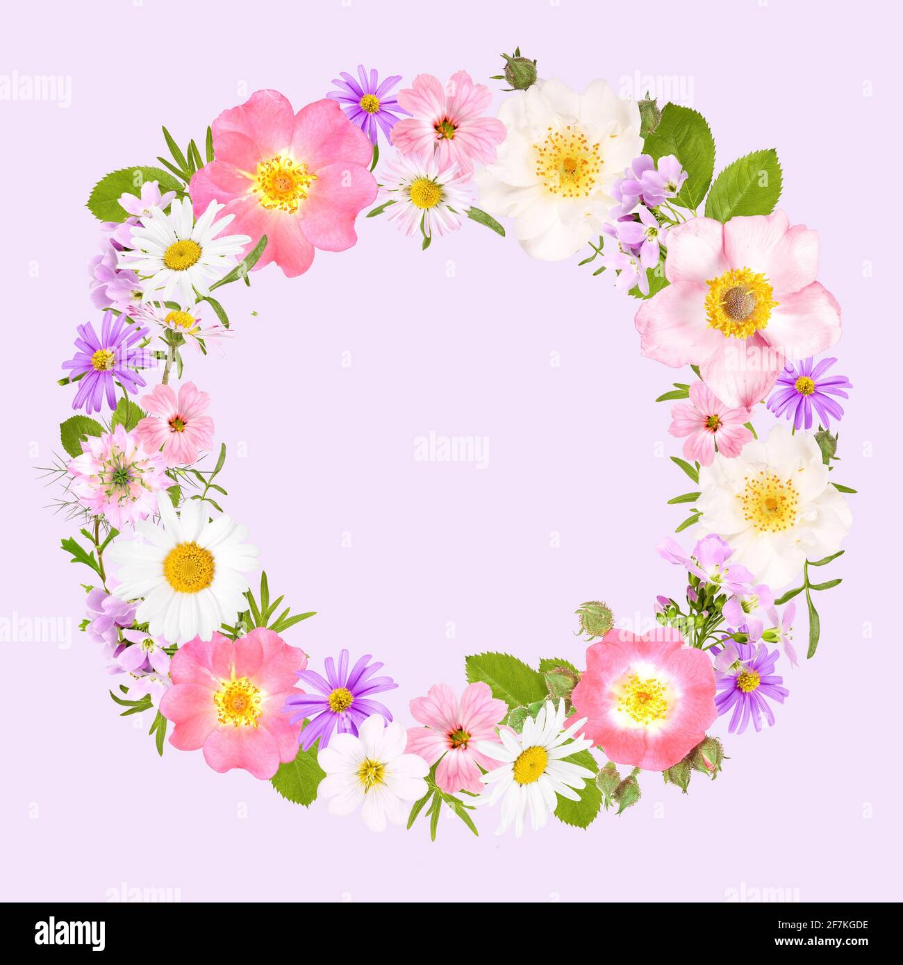 Flower wreath with roses, daisies and other flowers Stock Photo