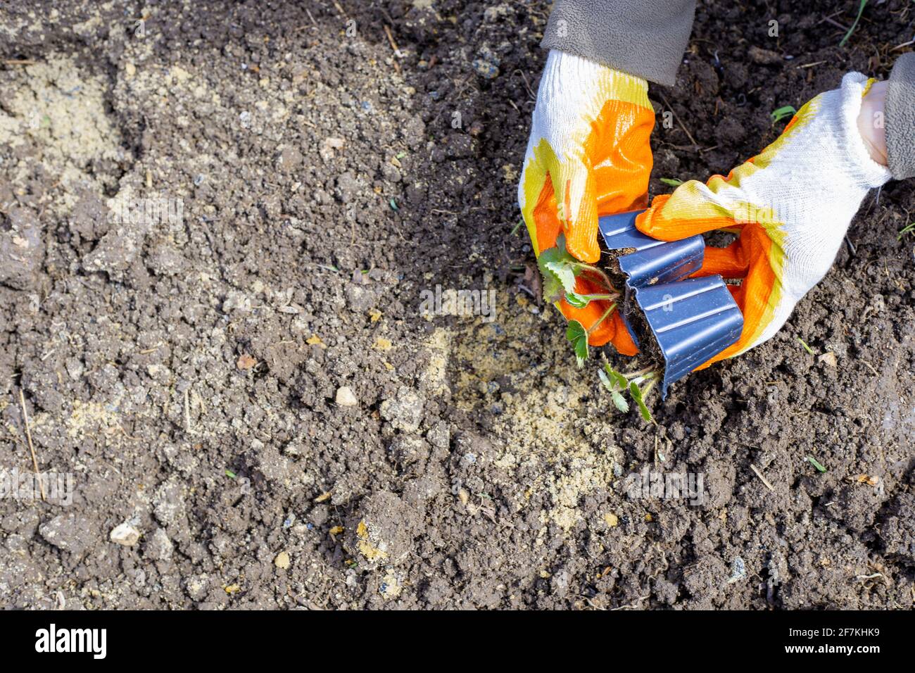Seedling molds hires stock photography and images Alamy
