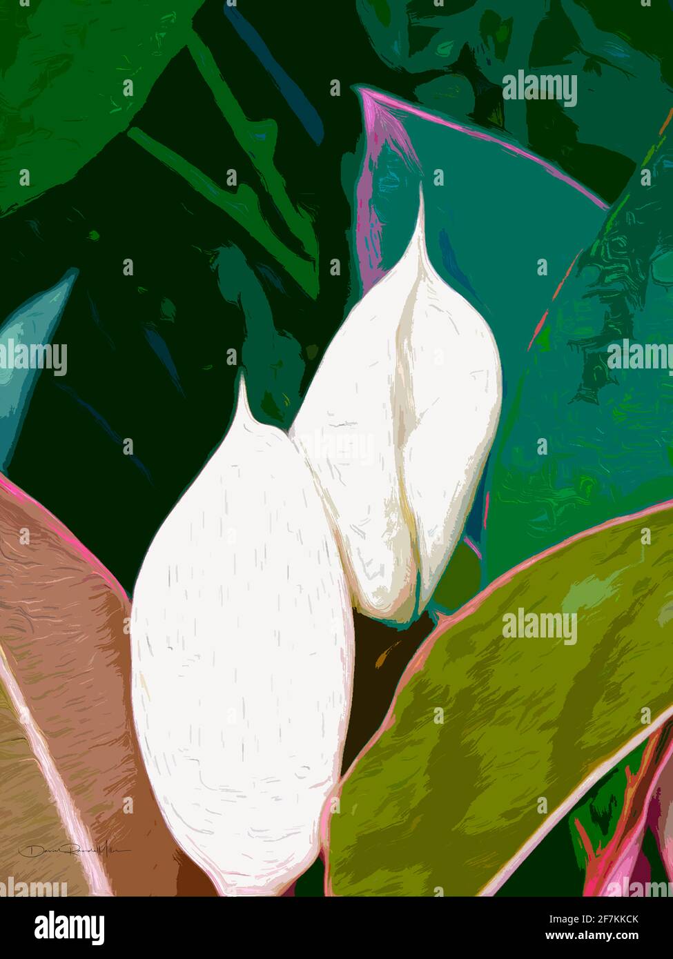 money tree lemon grove Large Money Tree Stump main image 1