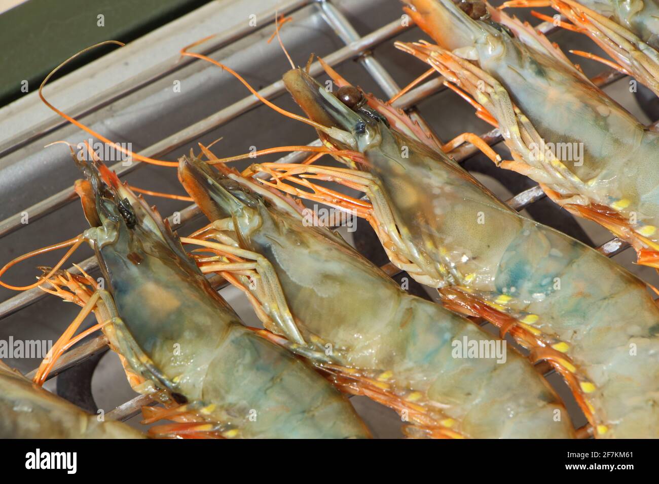 Prawns on the rack of an electric barbecue Stock Photo