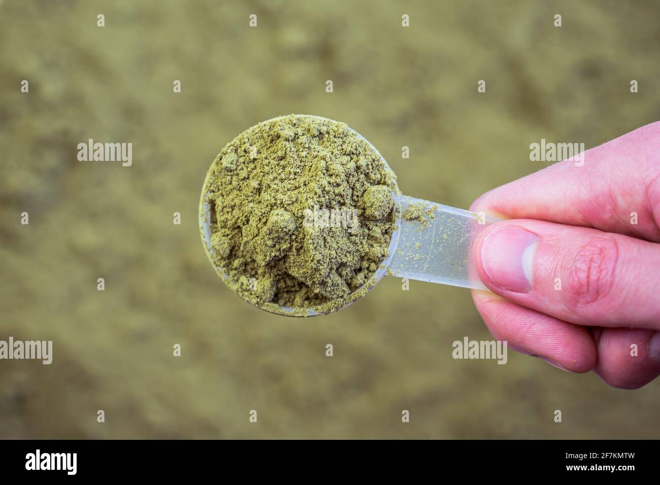 Jar of hemp protein powder. Space for text Stock Photo
