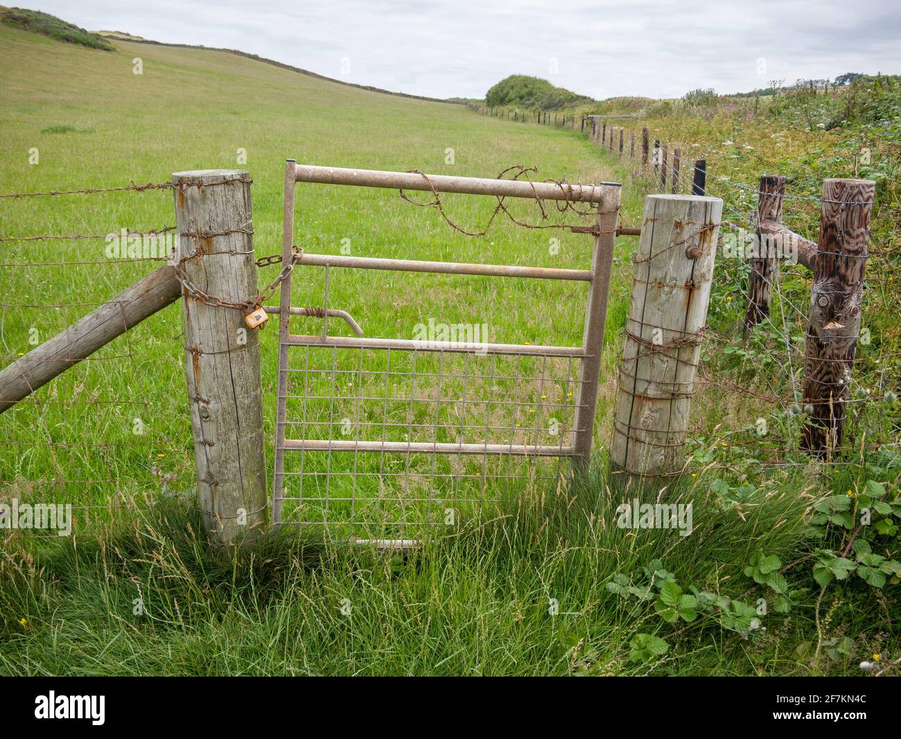 A gate to a meadow locked with a padlock and chain and covered in rusty barbed wire in the Devon countryside, England. Stock Photo