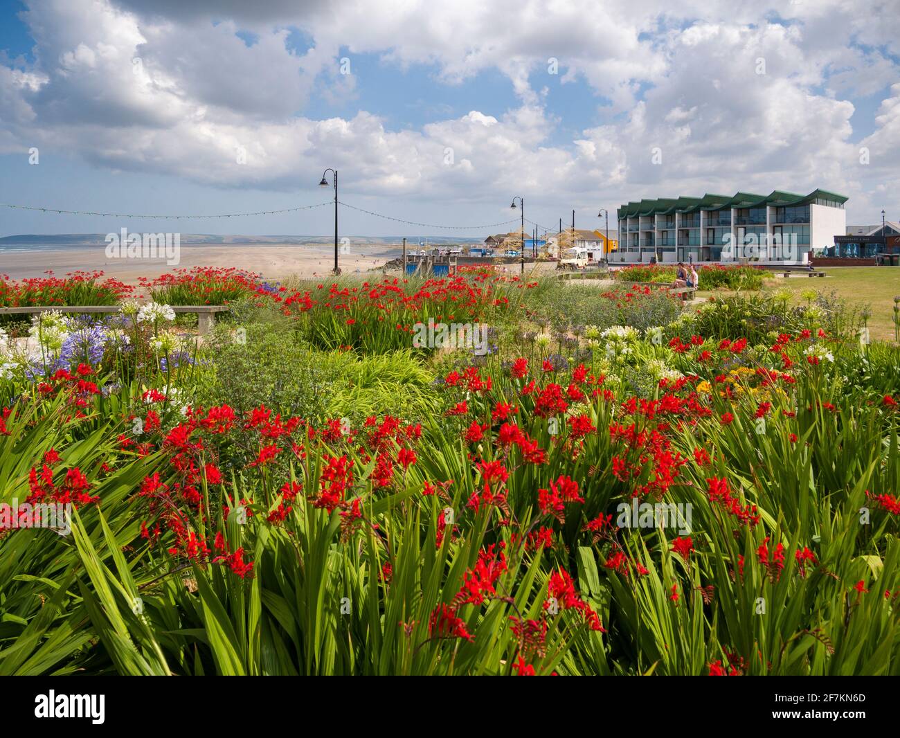 The gardens on the promenade at the seaside village of Westward Ho ...