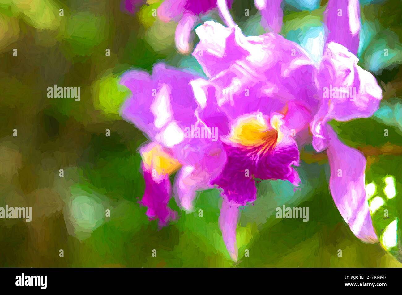 Purple and yellow orchid flower. Computer art Stock Photo