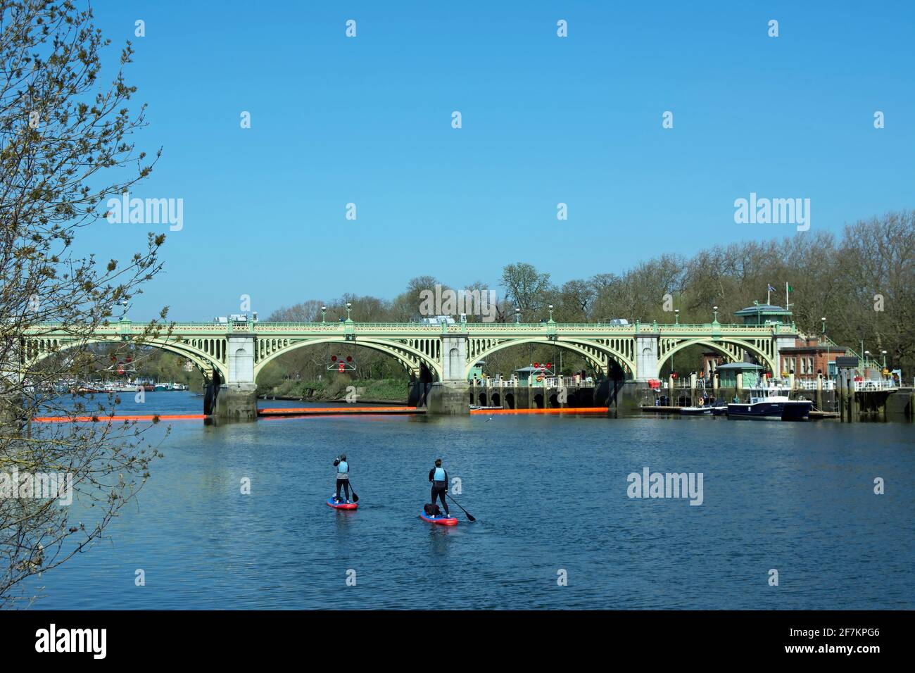 two paddleboarders on the river thames, seen from the twickenham side, move towards richmond lock and weir, southwest london, england Stock Photo
