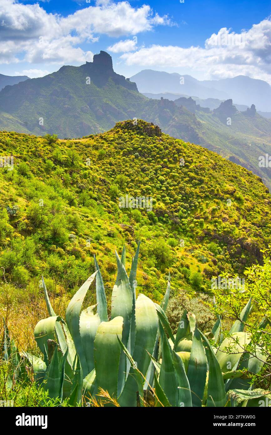 Canarian landscape, Gran Canaria, Canary Islands, Spain Stock Photo