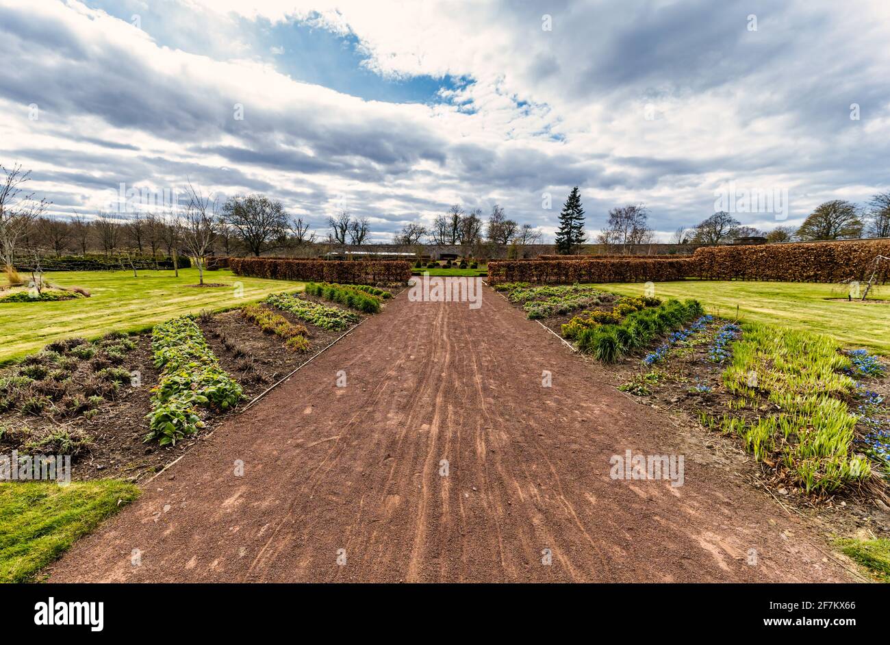 A long avenue footpath with formal flowerbeds, Amisfield walled garden, East Lothian, Scotland, UK Stock Photo