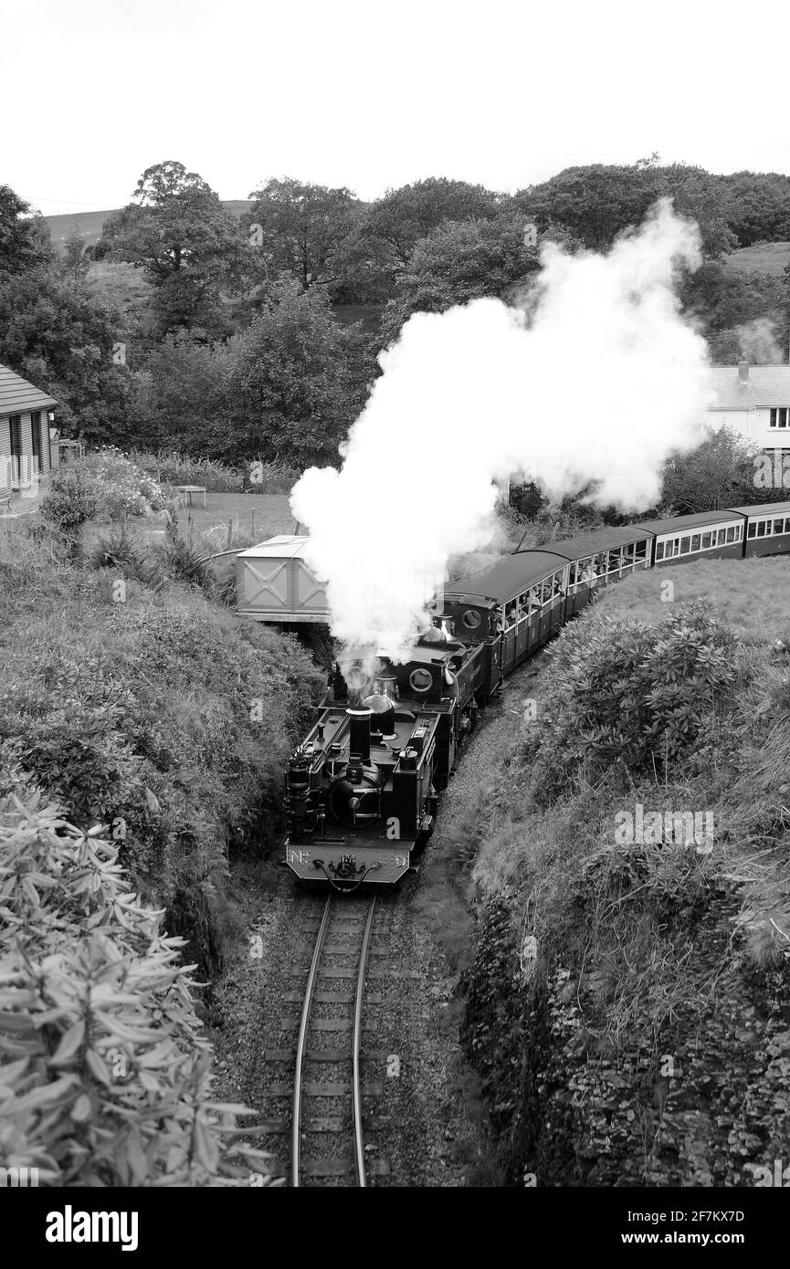 'Prince of Wales' and No. 8 approaching Devil's Bridge Station. Stock Photo