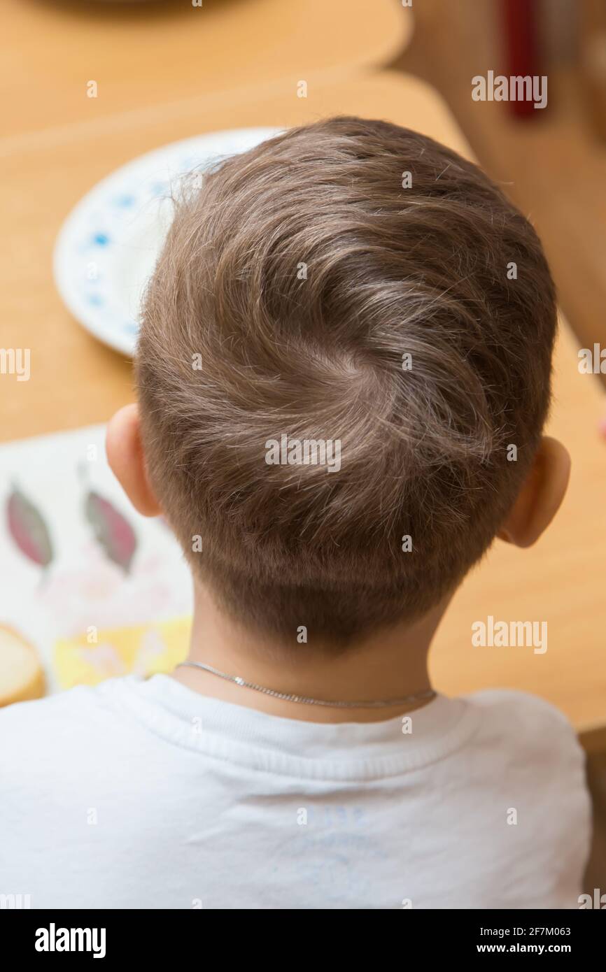 The back of a boys head with curled hair on top. Close-up of a hairstyle on  a child's head. Back view of the head of a man with a short haircut Stock